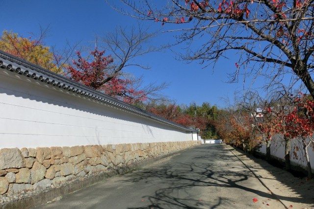 勧修寺の秋(1) 参道