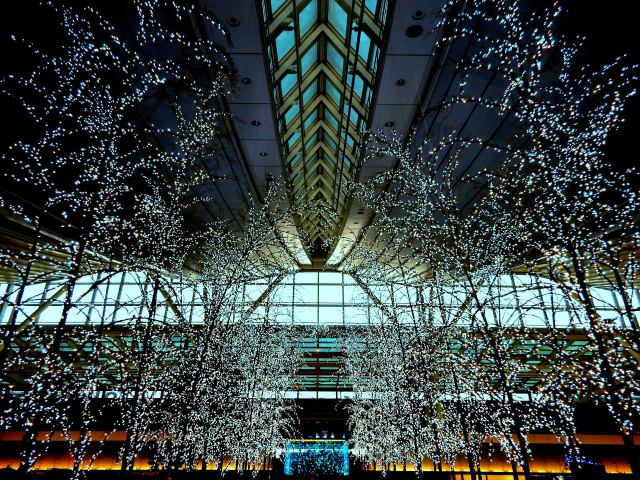 イルミネーション