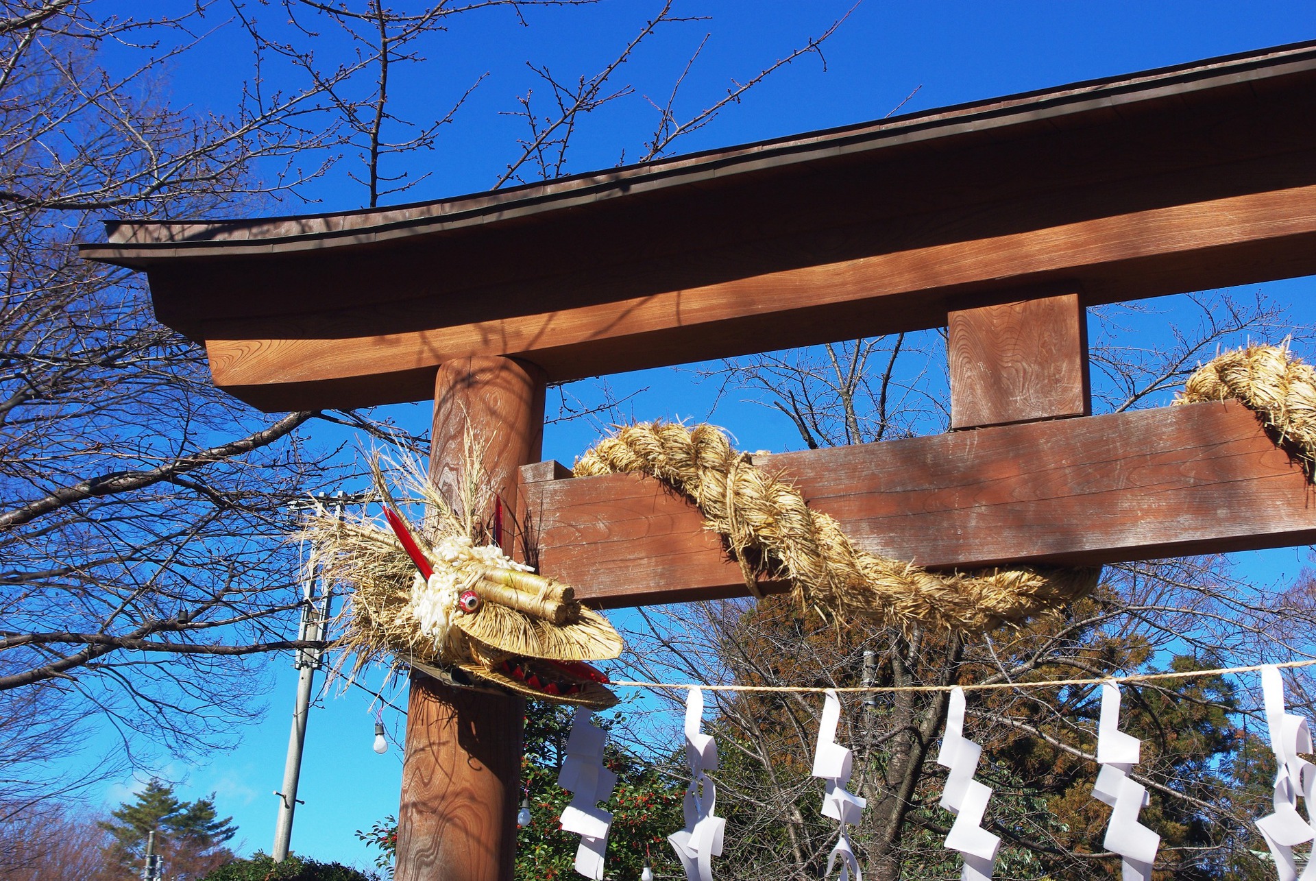 日本の風景 所沢熊野神社鳥居大蛇 壁紙19x1285 壁紙館