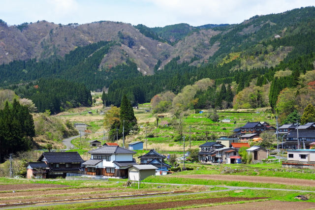 新緑の山里-2017春