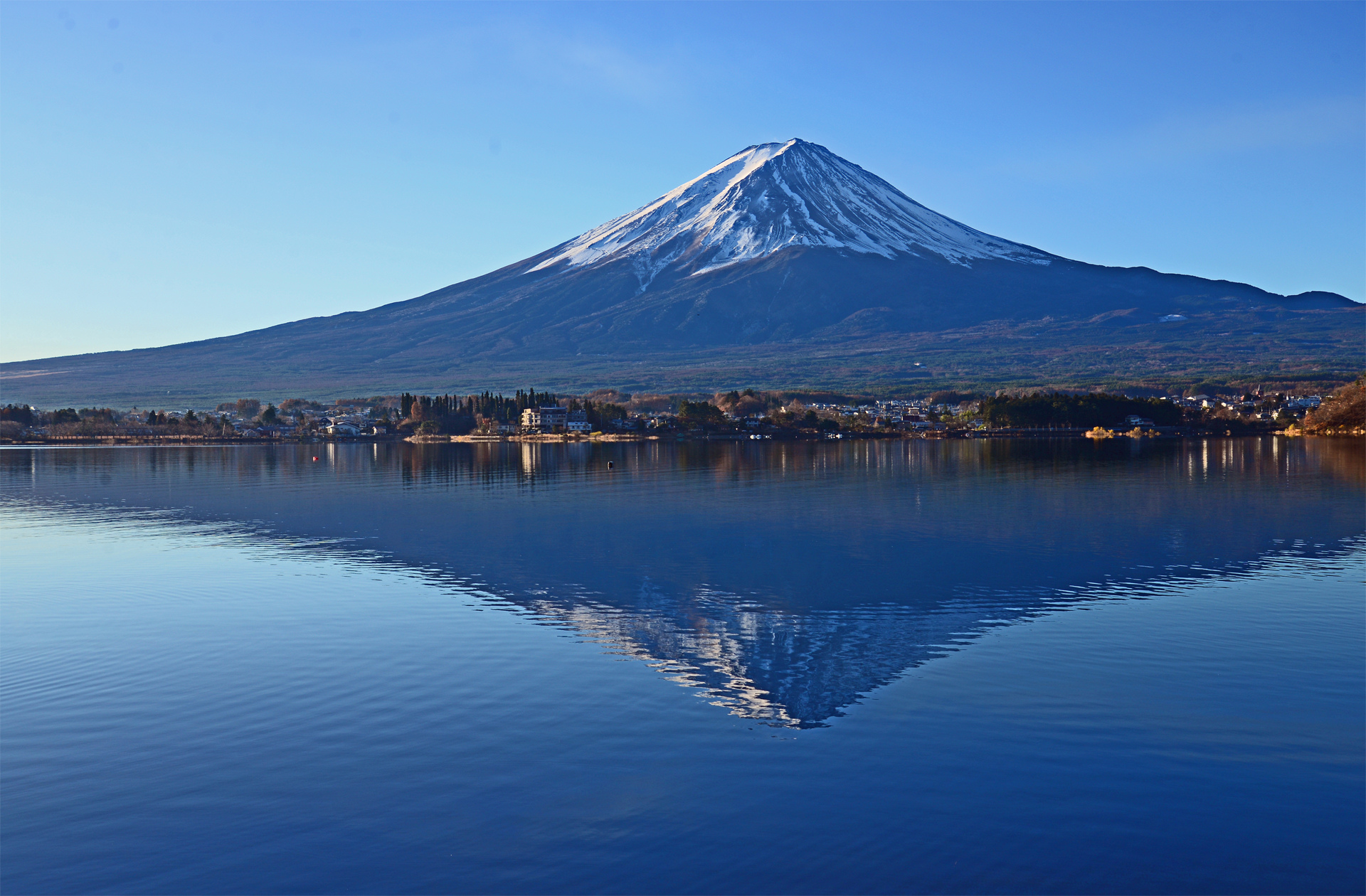 桜花富士の風景a 原風景的縁起開運写真 大サイズ可高画質 超大特価