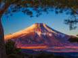 朝焼けの富士山