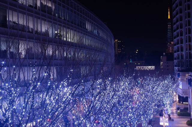 六本木 けやき坂のイルミ