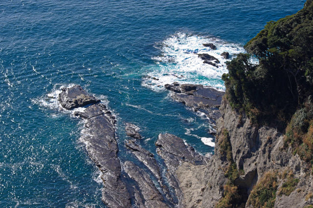 江の島の海岸線