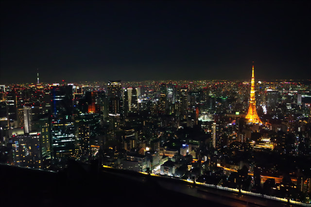 東京ナイトビュー
