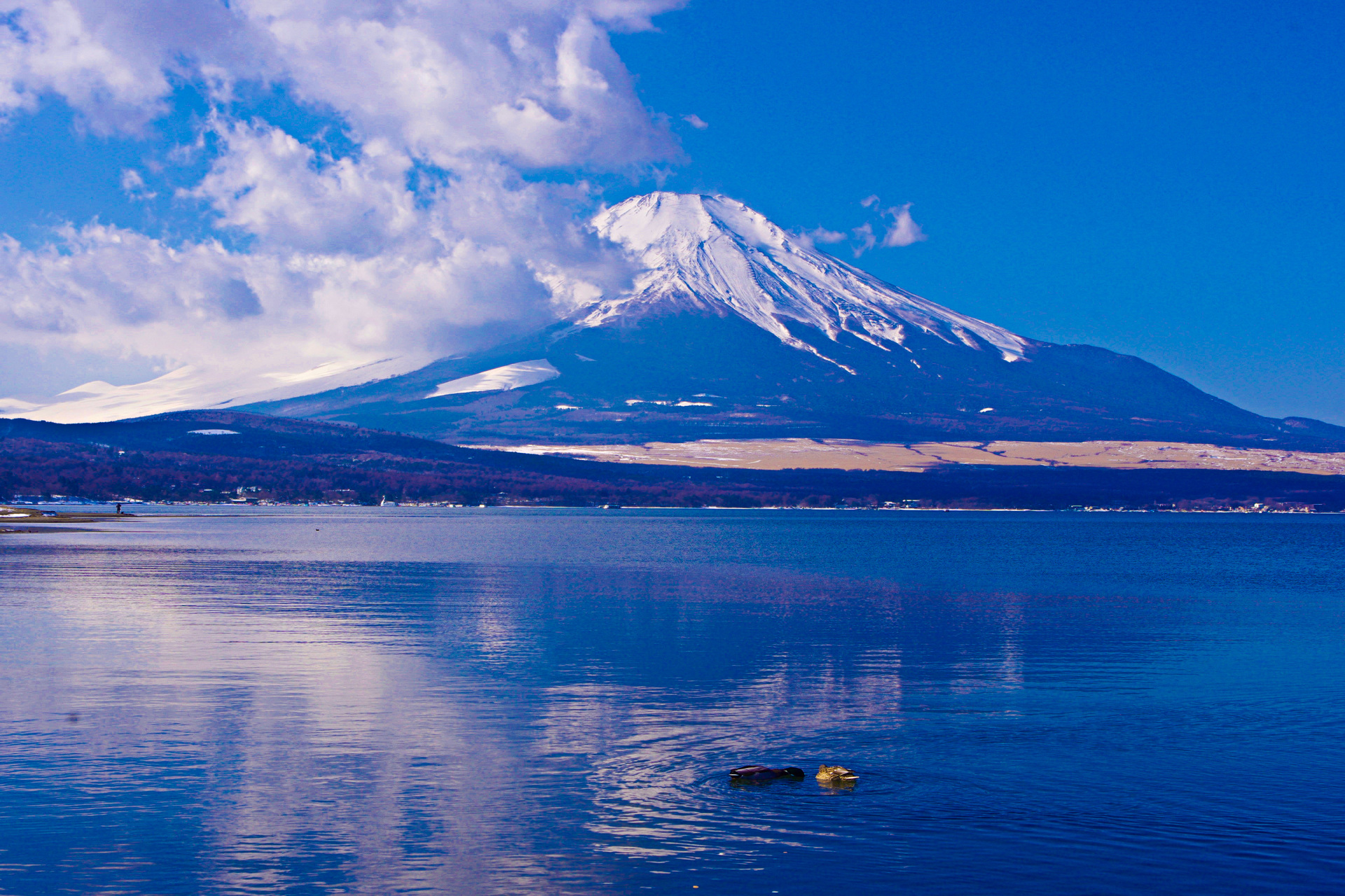 人生 壁紙 冬 富士山
