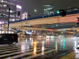 雨の目白通り