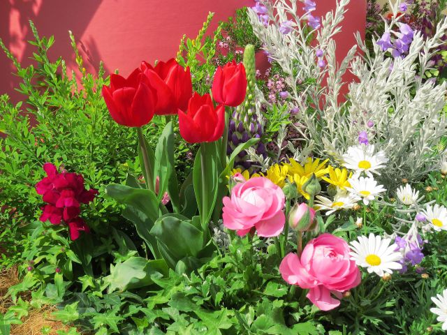 春の花の植込み