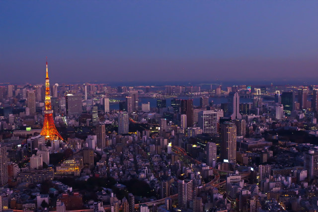 東京トワイライトビュー
