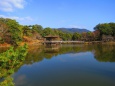 冬の奈良公園・浮見堂