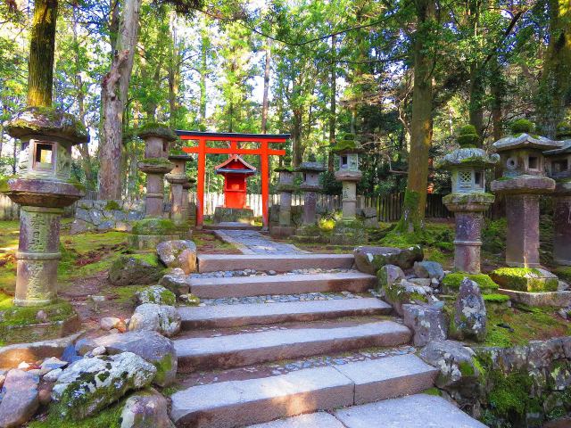 冬の奈良・春日大社参道の小社