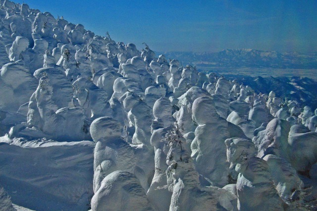 蔵王のモンスター