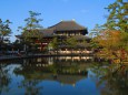 冬の奈良・東大寺