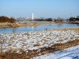雪の残る多摩川河川敷