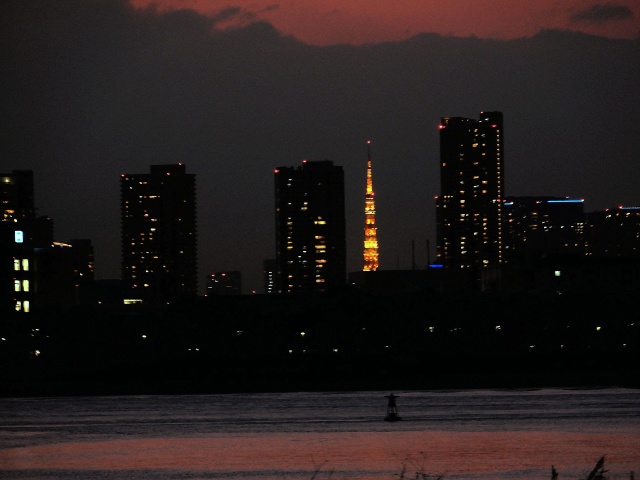 東京タワーを望む