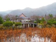 雪が舞う天龍寺と嵐山