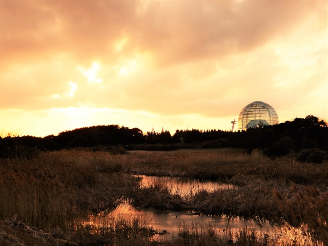 葛西臨海公園にて