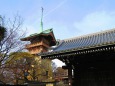 京都東山大雲院の祇園閣