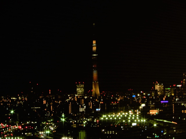 東京スカイツリーの夜景