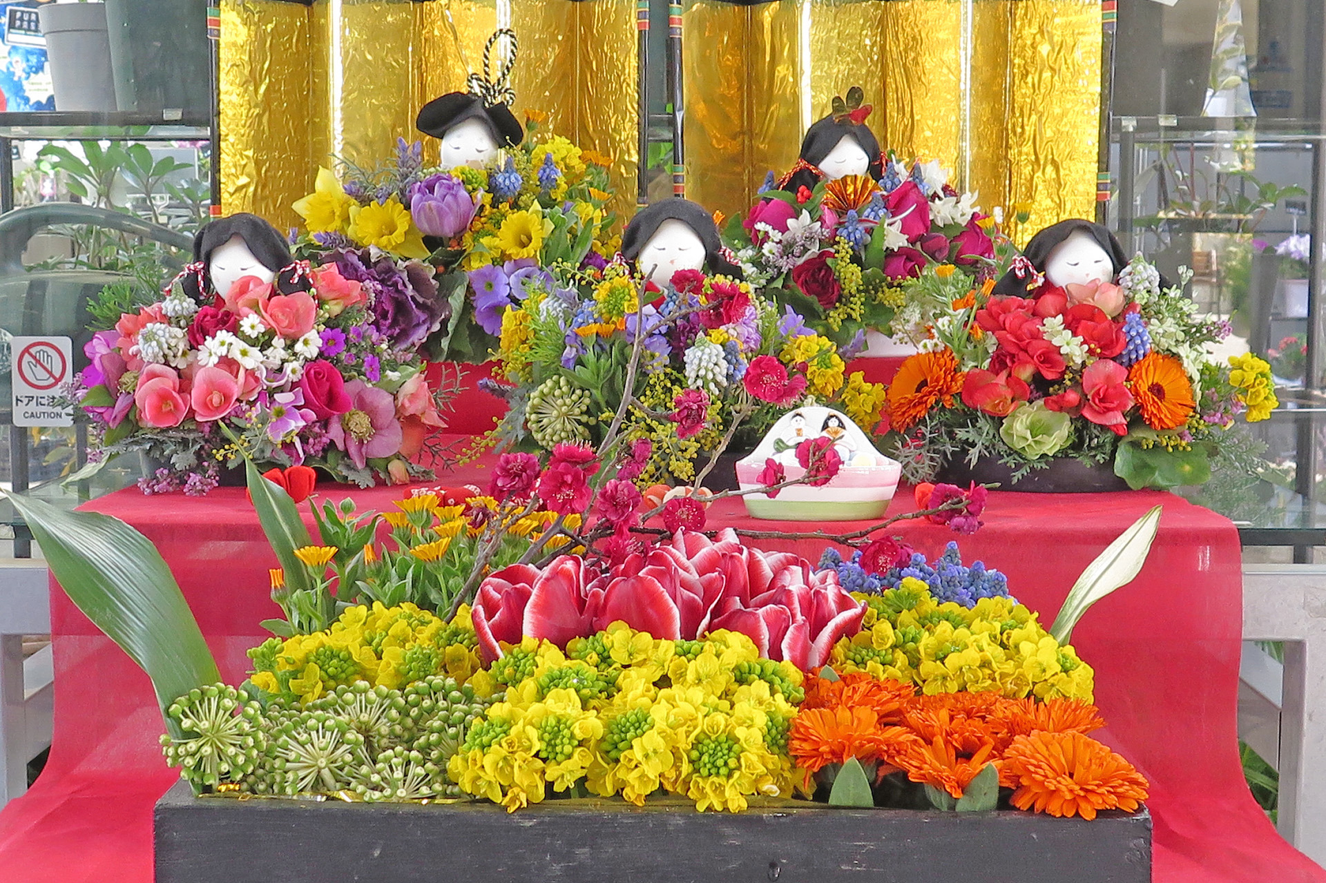 花 植物 ひな祭り 壁紙19x1279 壁紙館