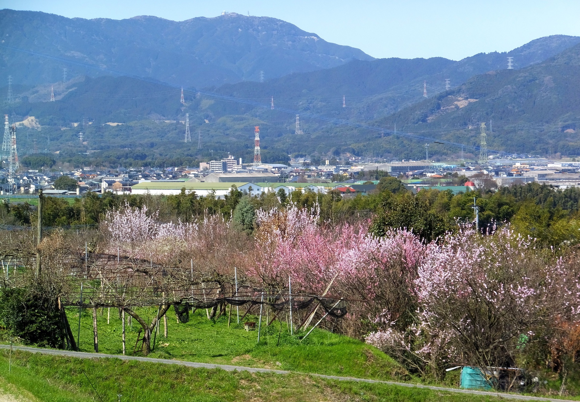 日本の風景 懐かしい春の風景 壁紙19x1331 壁紙館