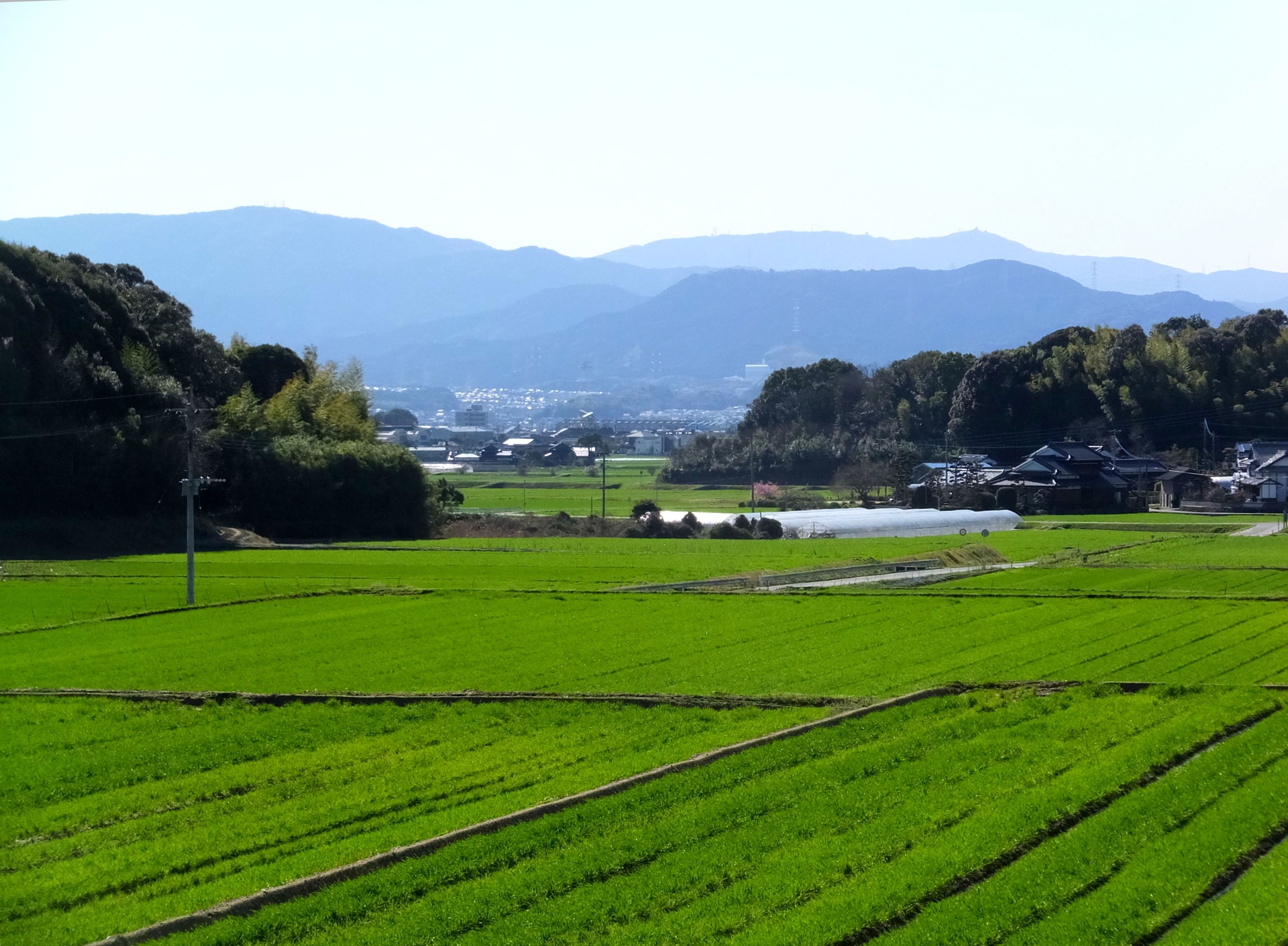 日本の風景 春の田園風景 壁紙19x1411 壁紙館