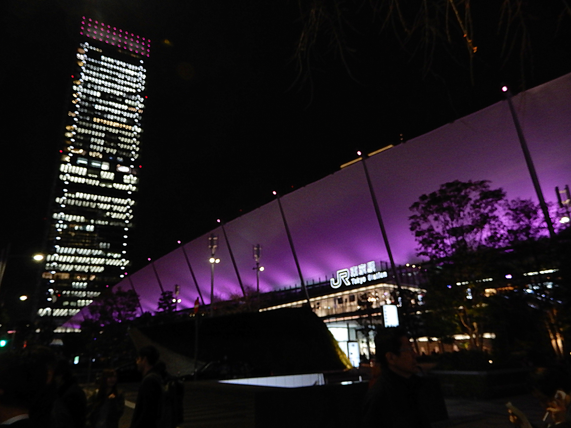 夜景 花火 イルミ 桜色のグランルーフ 壁紙19x1440 壁紙館 夜景 花火 イルミ 桜色のグランルーフ 壁紙19x1440 壁紙館