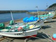 春の安島漁港