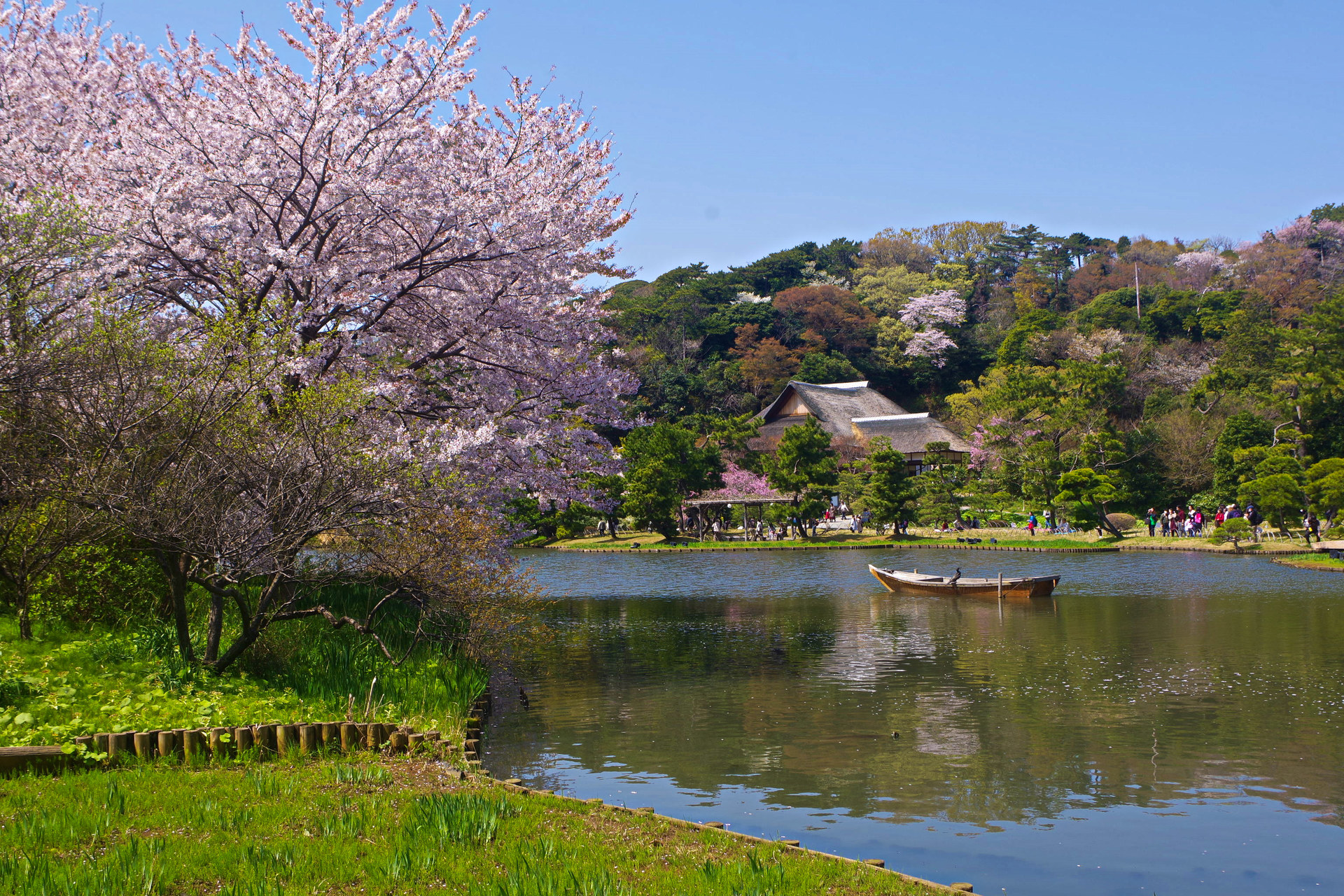 日本の風景 三渓園 春景色 壁紙19x1280 壁紙館