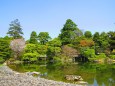 春の京都御所・御池の風景