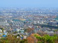 山上から見た阪神の街並み