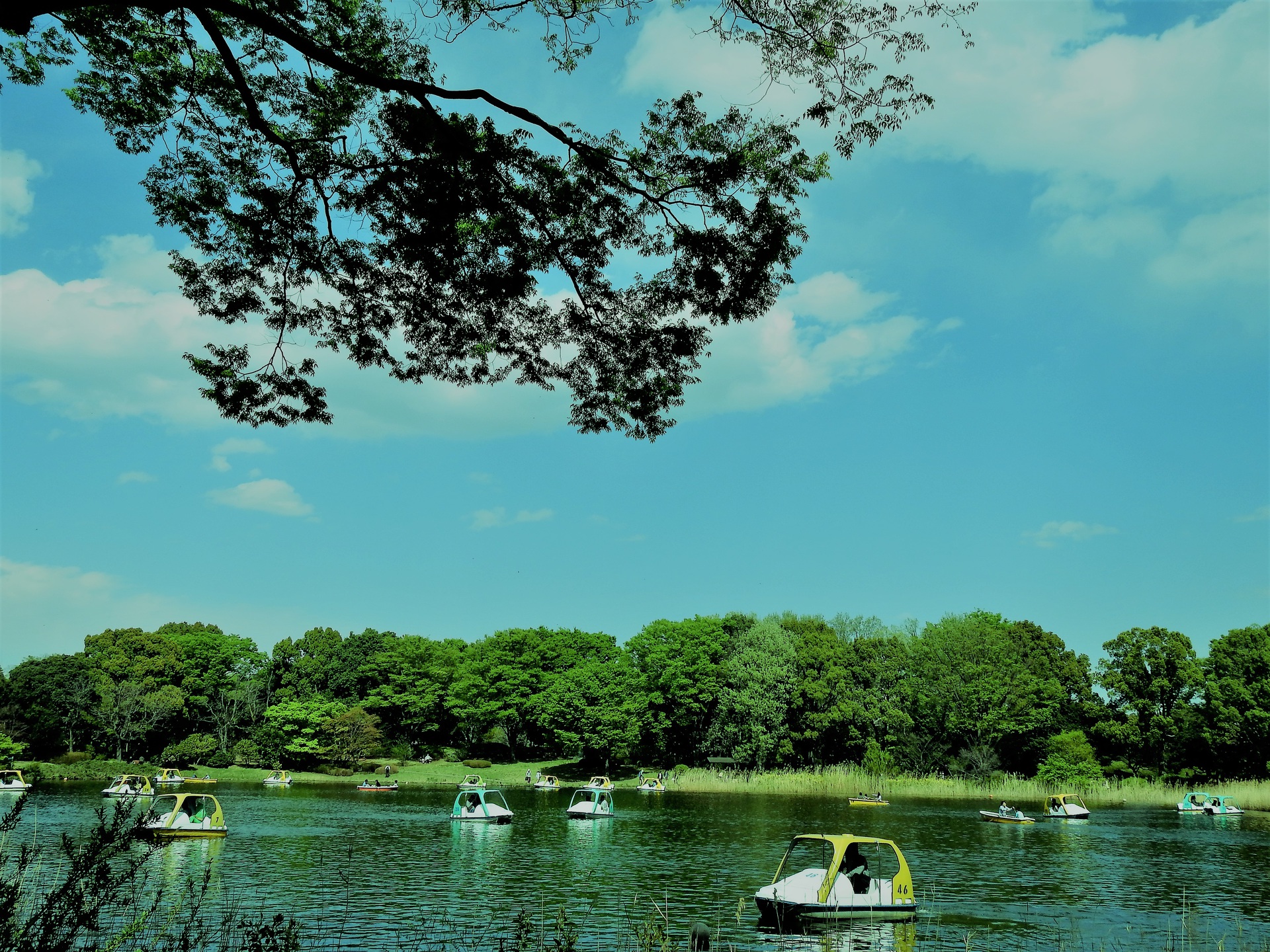 日本の風景 水辺の風景 壁紙19x1440 壁紙館