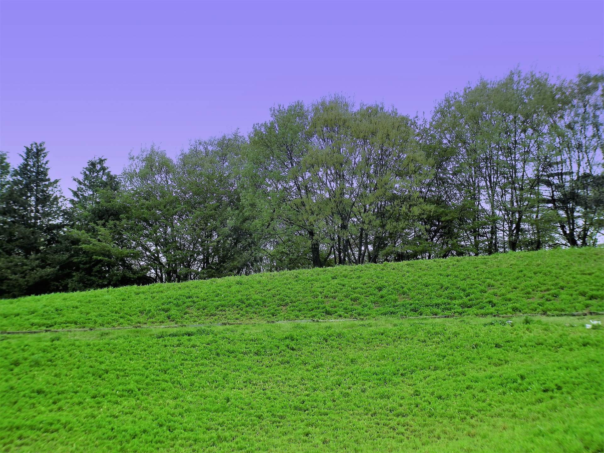 日本の風景 新緑の木漏れ日の丘 壁紙19x1440 壁紙館