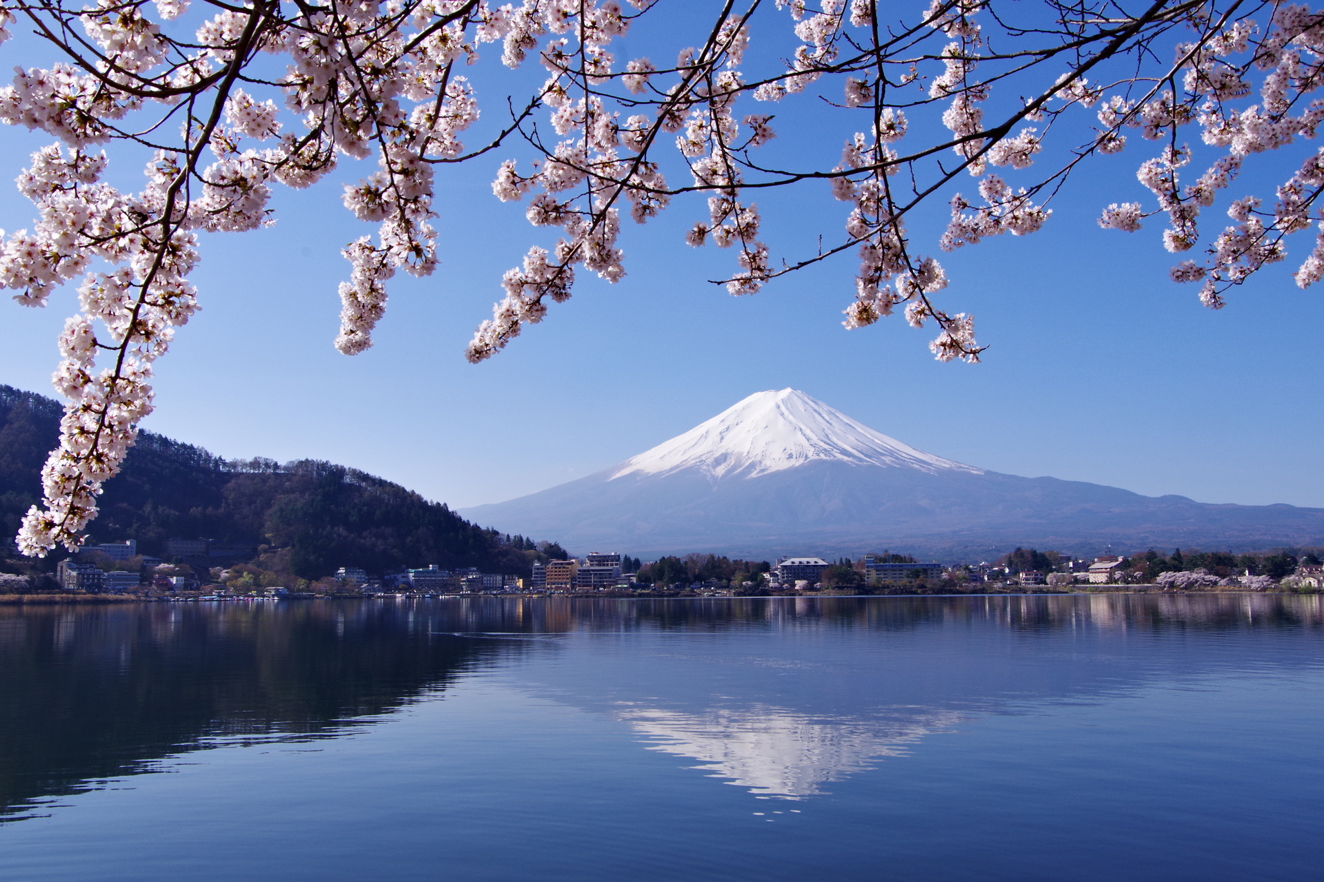 日本の風景 桜と逆さ富士 壁紙19x1280 壁紙館
