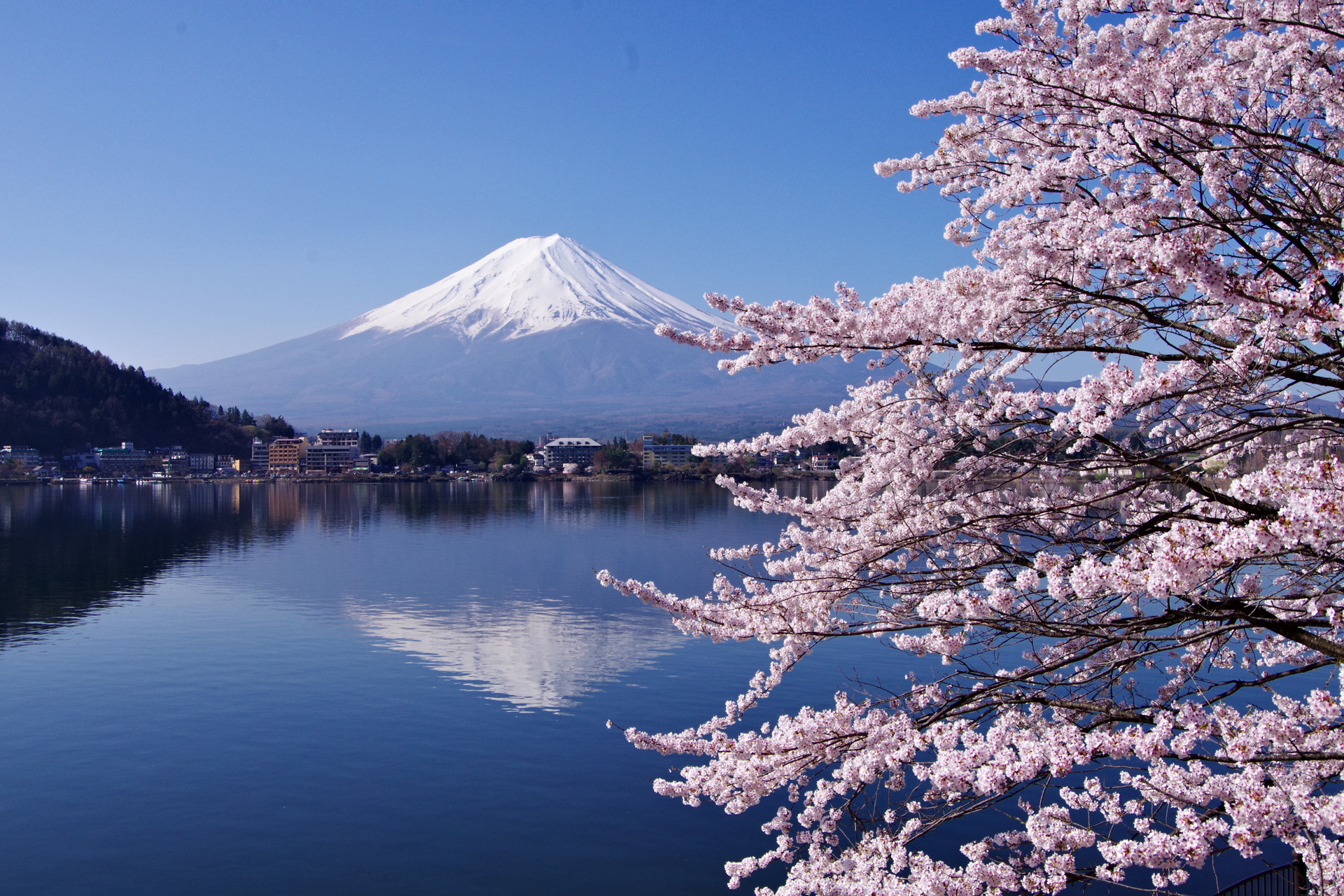 日本の風景 桜と逆さ富士2 壁紙19x1280 壁紙館