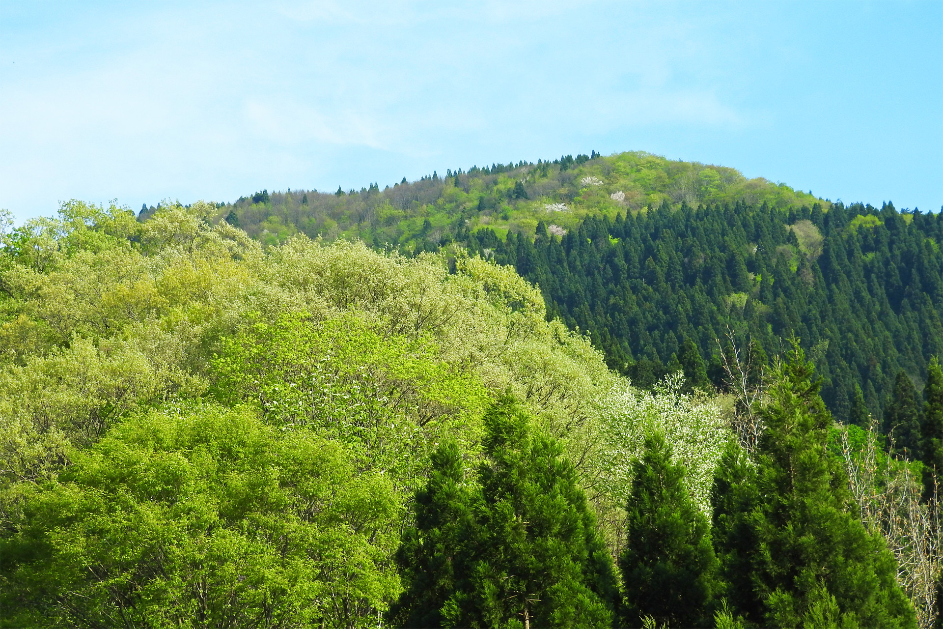 日本の風景 山も早新緑に 壁紙19x1280 壁紙館 日本の風景 山も早新緑に 壁紙19x1280 壁紙館