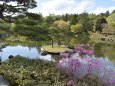 ツツジ咲く日本庭園