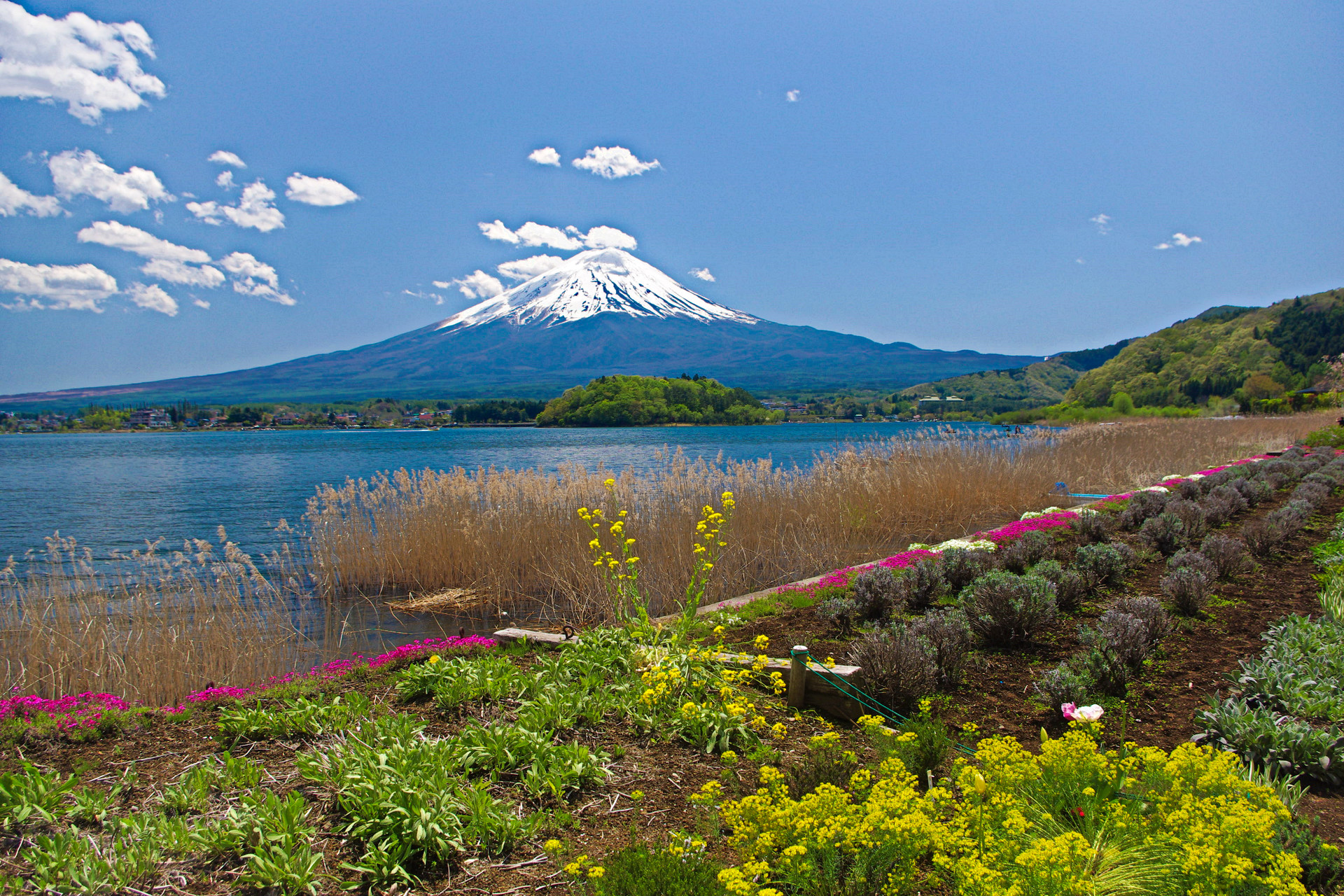 日本の風景 春の富士山 壁紙19x1280 壁紙館