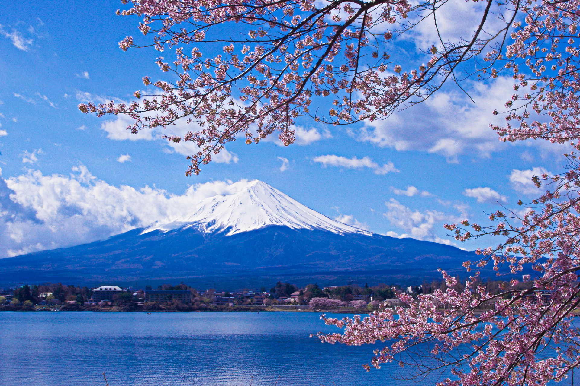 日本の風景 富士山と桜 壁紙19x1280 壁紙館