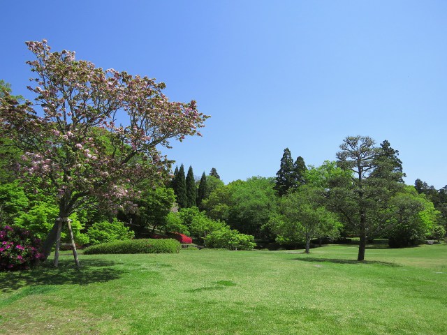 奈良公園県新公会堂の庭園