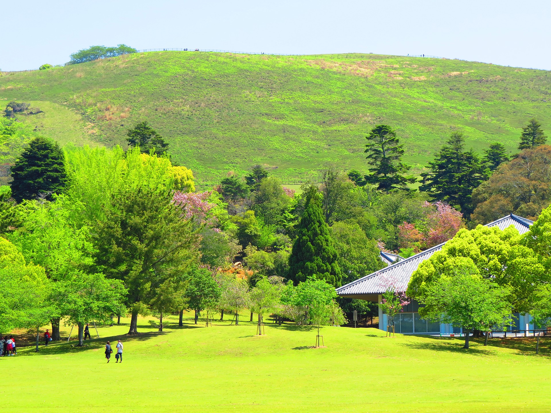 日本の風景 緑に染まる若草山の春 壁紙19x1440 壁紙館