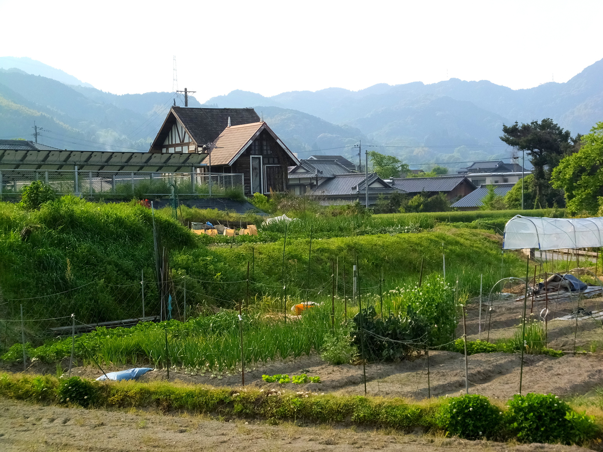 日本の風景 田舎の春景色 壁紙19x1440 壁紙館