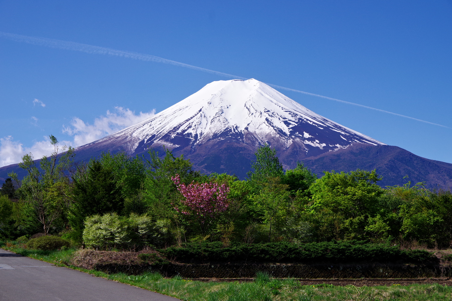 日本の風景 初夏の富士山 壁紙19x1280 壁紙館
