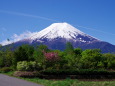 初夏の富士山