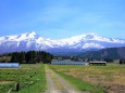 春の鳥海山