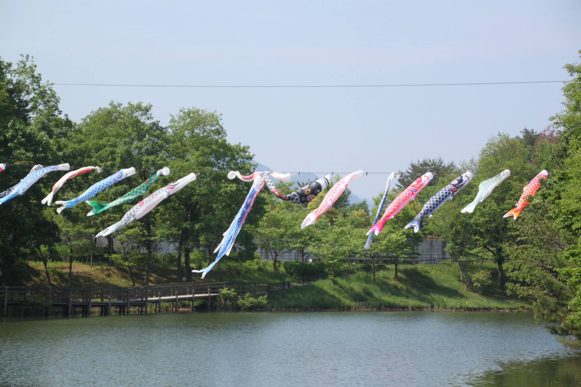 日本の風景 鯉のぼり 壁紙19x1280 壁紙館