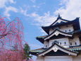 弘前城としだれ桜