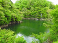 帝釈峡-新緑の季節