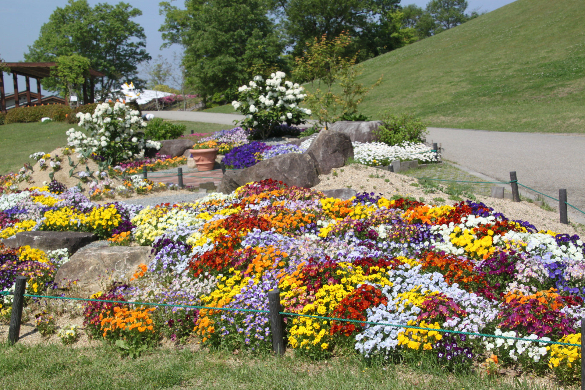 花 植物 お花畑です 壁紙19x1280 壁紙館 花 植物 お花畑です 壁紙19x1280 壁紙館