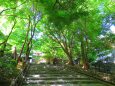 京都竜安寺への道